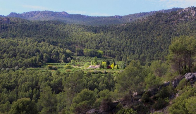 Cortijo Los Gorros