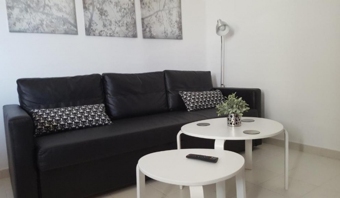 Panelo Cactus Apartment